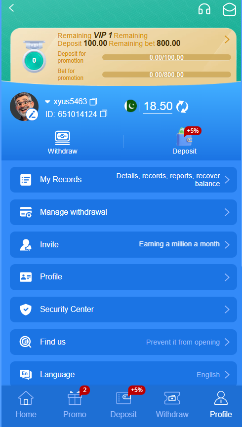 666H profile and security options